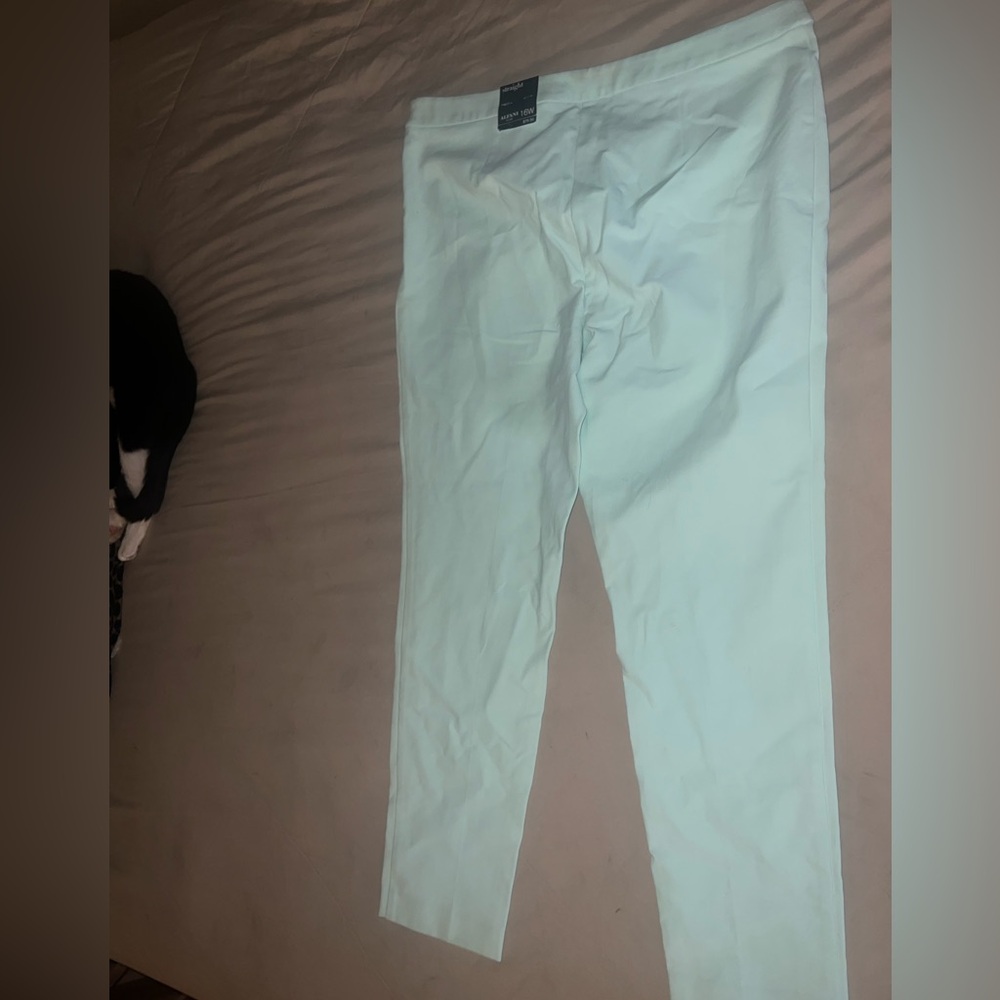 Alfani pants